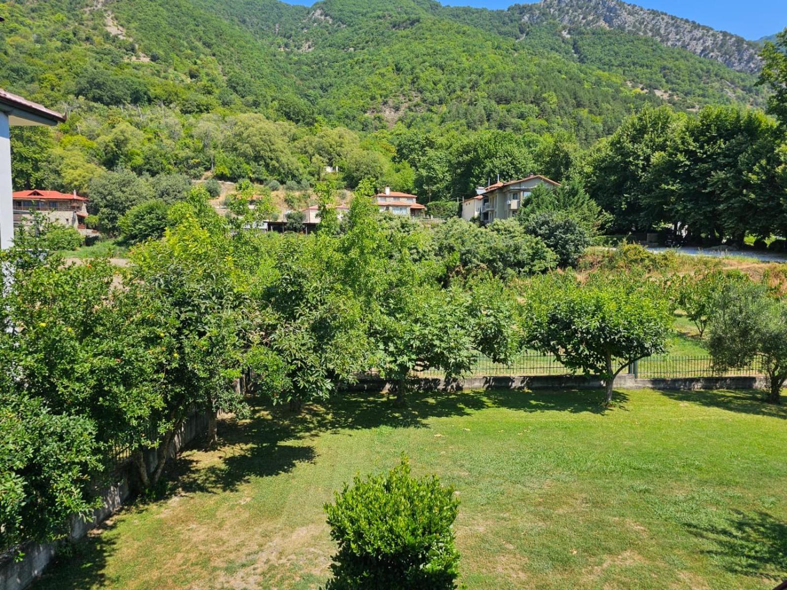 Hillside View *